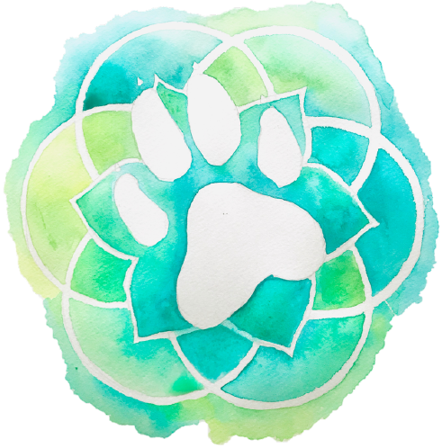 Intervenante en zoothérapie